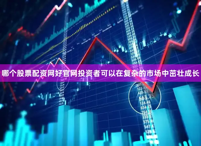 哪个股票配资网好官网投资者可以在复杂的市场中茁壮成长