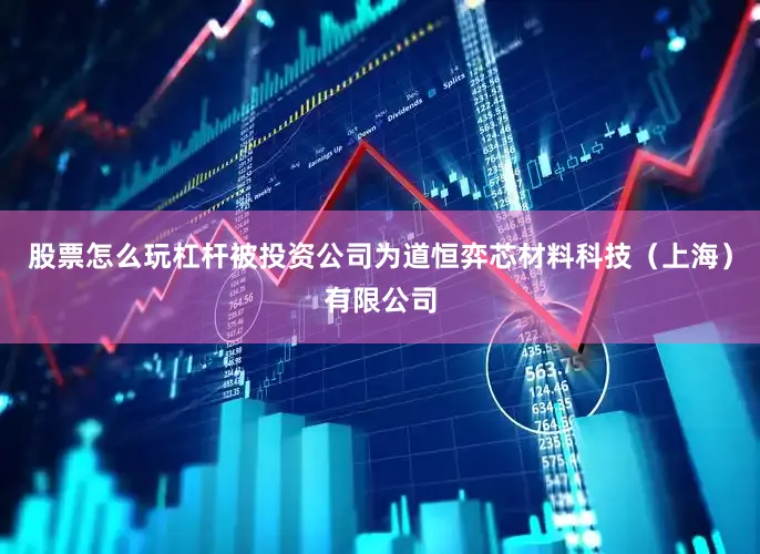股票怎么玩杠杆被投资公司为道恒弈芯材料科技（上海）有限公司